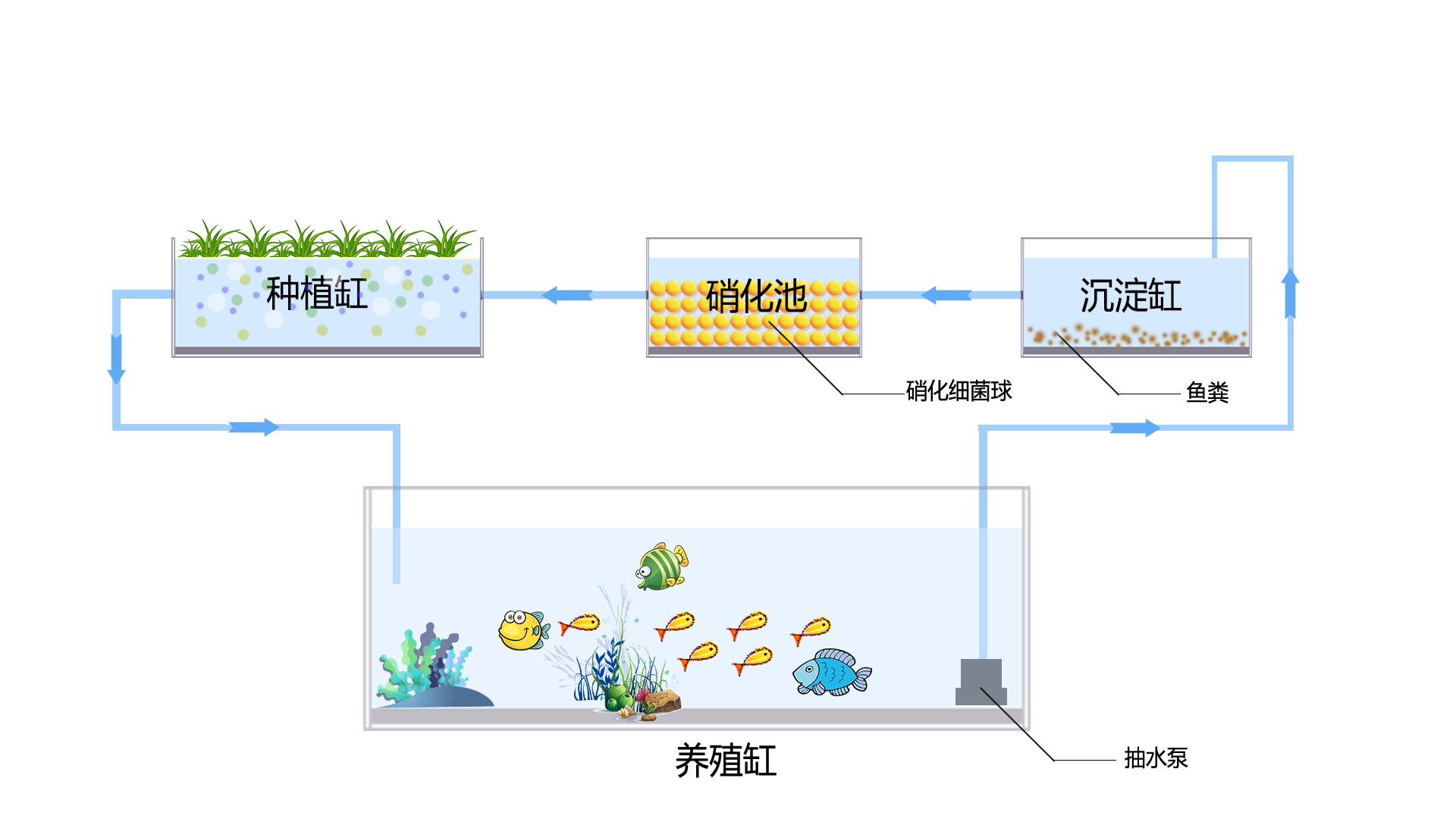 九参数鱼菜共生系统采购清单10
