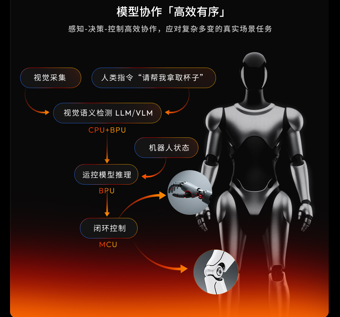 机械臂精准抓取动态示意图.png