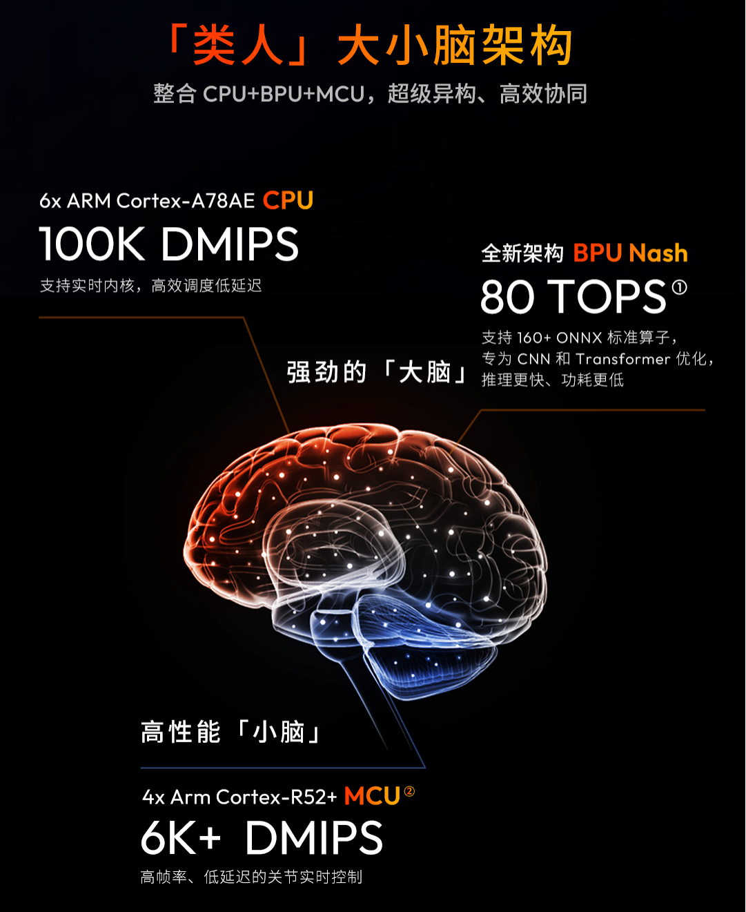CPU+BPU+MCU三核架构示意图.png